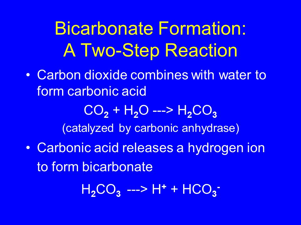 the respiratory system chapter 11 respiration physiological process water and carbon dioxide combine to form