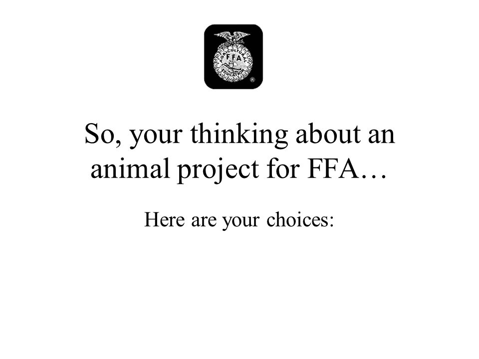 So, your thinking about an animal project for FFA… Here are your choices: