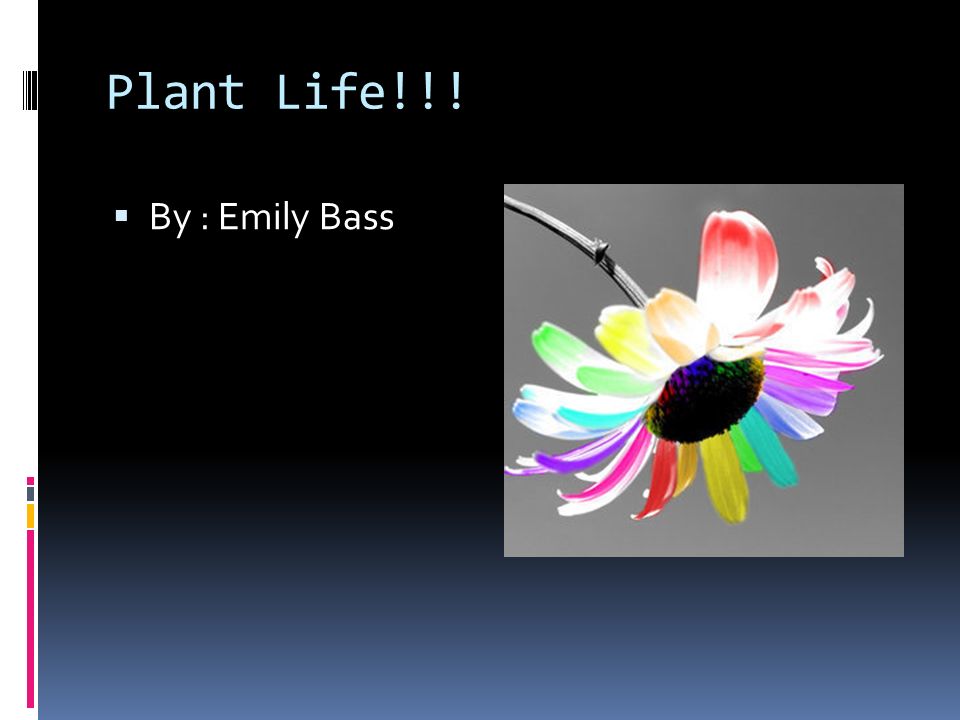 Plant Life!!!  By : Emily Bass