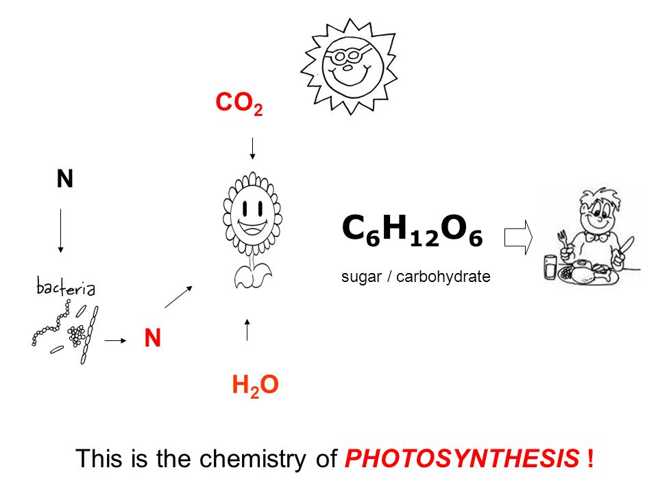 C 6 H 12 O 6 sugar / carbohydrate CO 2 H2OH2O NN This is the chemistry of PHOTOSYNTHESIS !
