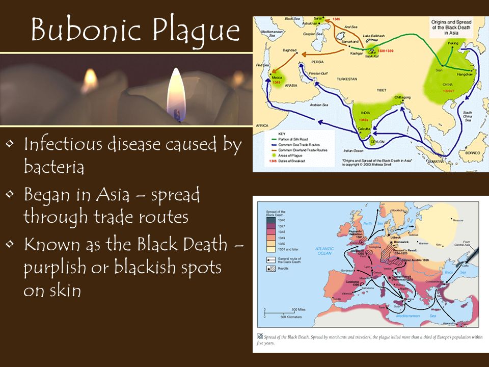 Bubonic Plague Infectious disease caused by bacteria Began in Asia – spread through trade routes Known as the Black Death – purplish or blackish spots on skin