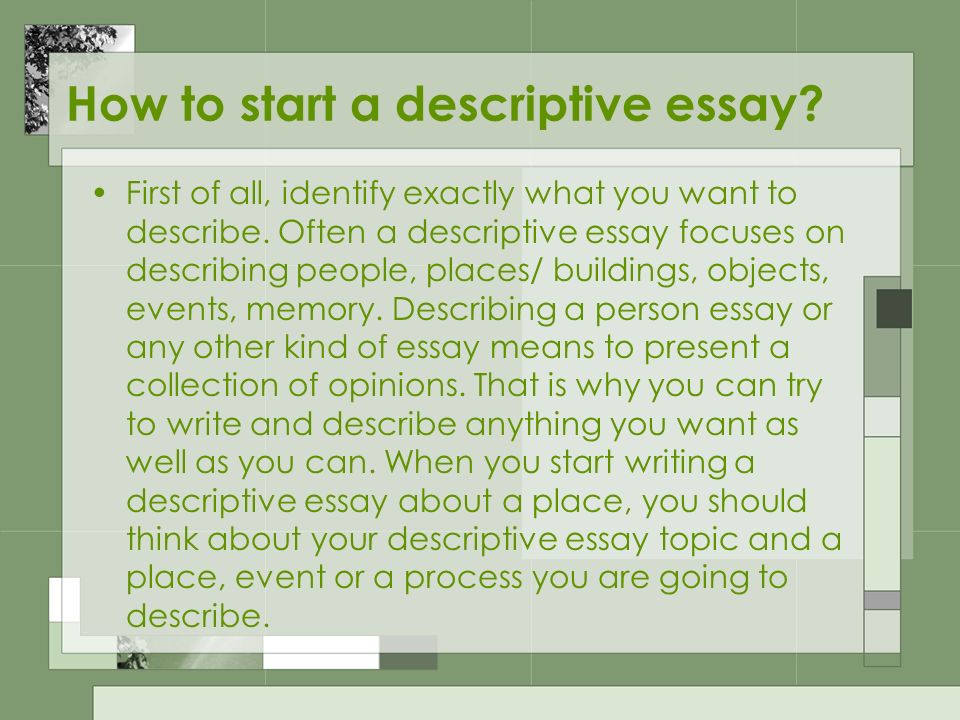 essay describing a place
