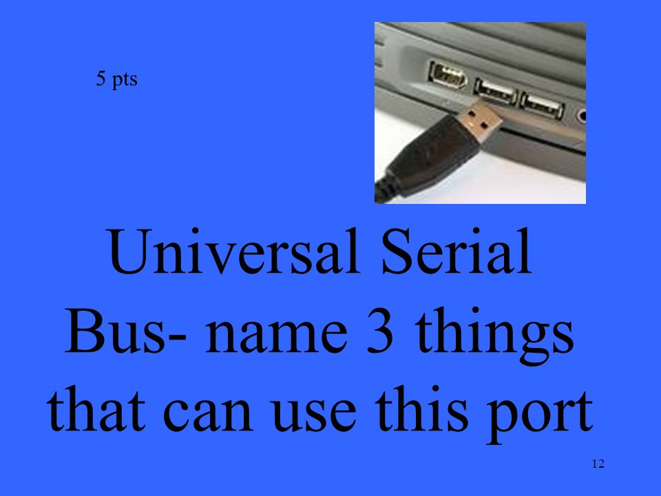 12 Universal Serial Bus- name 3 things that can use this port 5 pts