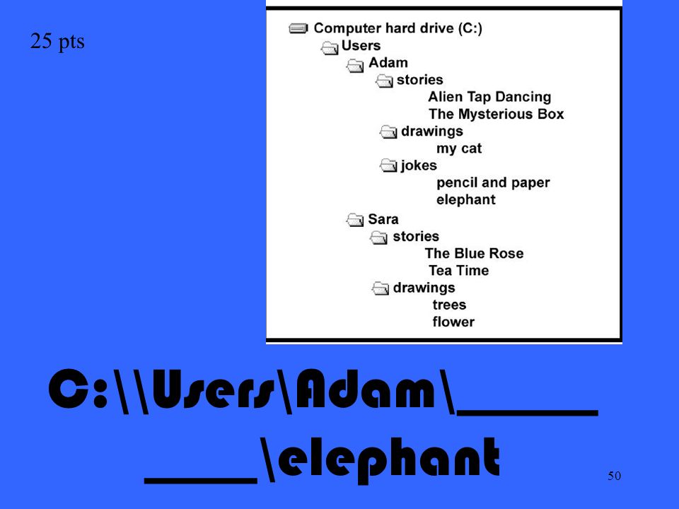 50 25 pts C:\\Users\Adam\_____ ____\elephant
