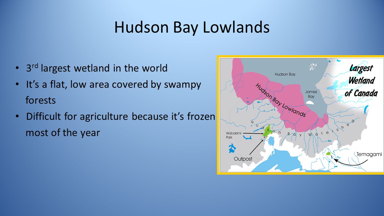 Hudson Bay Lowlands 3 rd largest wetland in the world It’s a flat, low area covered by swampy forests Difficult for agriculture because it’s frozen most of the year