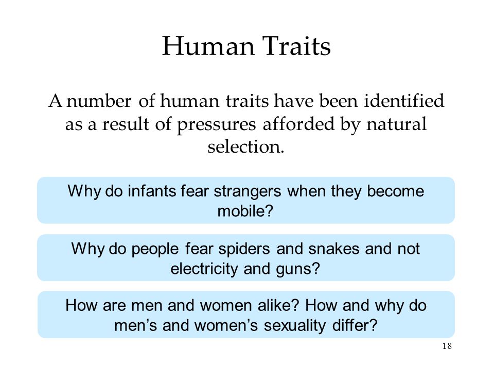 18 Human Traits A number of human traits have been identified as a result of pressures afforded by natural selection.