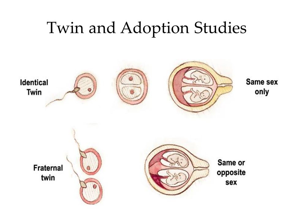 6 Twin and Adoption Studies