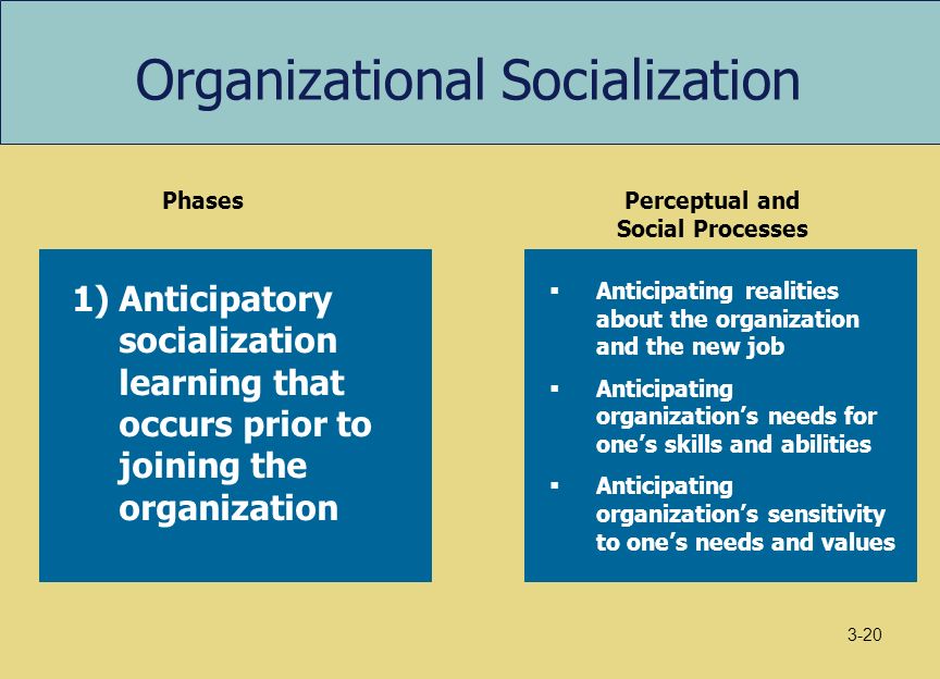 Organizational socialization and job satisfaction