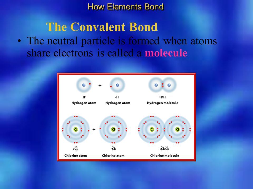 The Convalent Bond The neutral particle is formed when atoms share electrons is called a molecule How Elements Bond