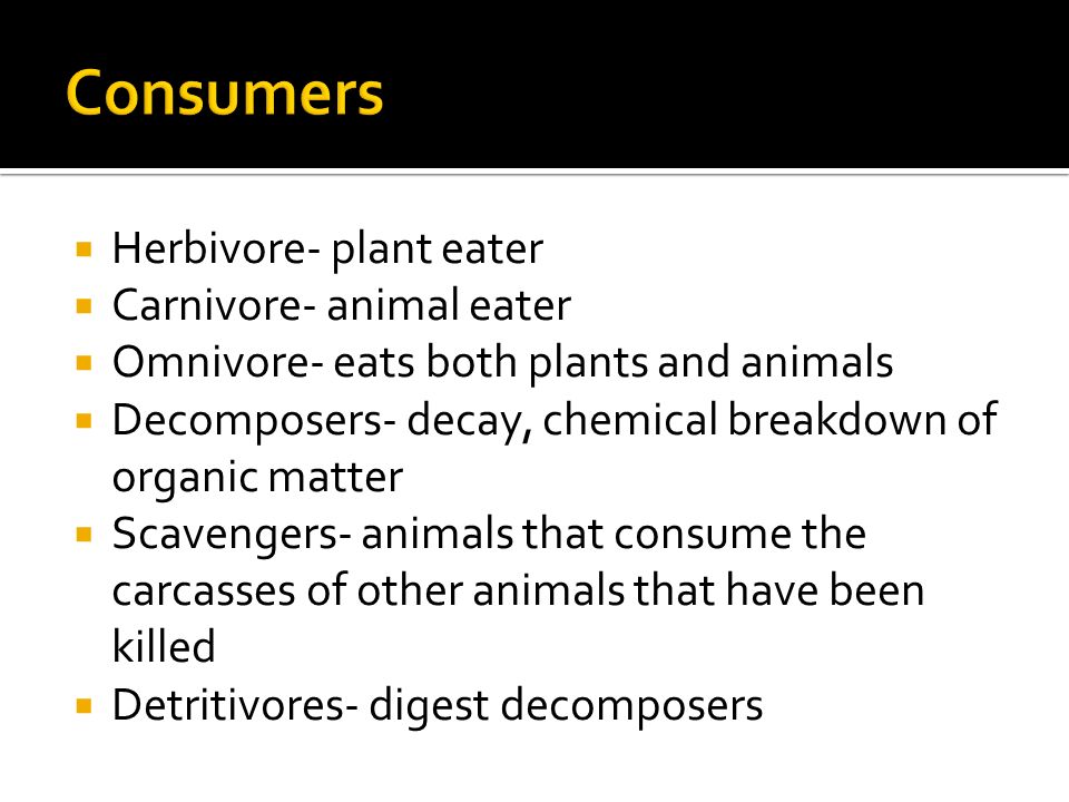  Herbivore- plant eater  Carnivore- animal eater  Omnivore- eats both plants and animals  Decomposers- decay, chemical breakdown of organic matter  Scavengers- animals that consume the carcasses of other animals that have been killed  Detritivores- digest decomposers