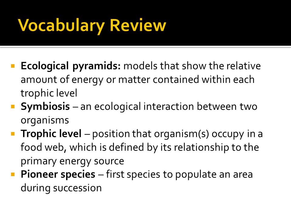  Ecological pyramids: models that show the relative amount of energy or matter contained within each trophic level  Symbiosis – an ecological interaction between two organisms  Trophic level – position that organism(s) occupy in a food web, which is defined by its relationship to the primary energy source  Pioneer species – first species to populate an area during succession