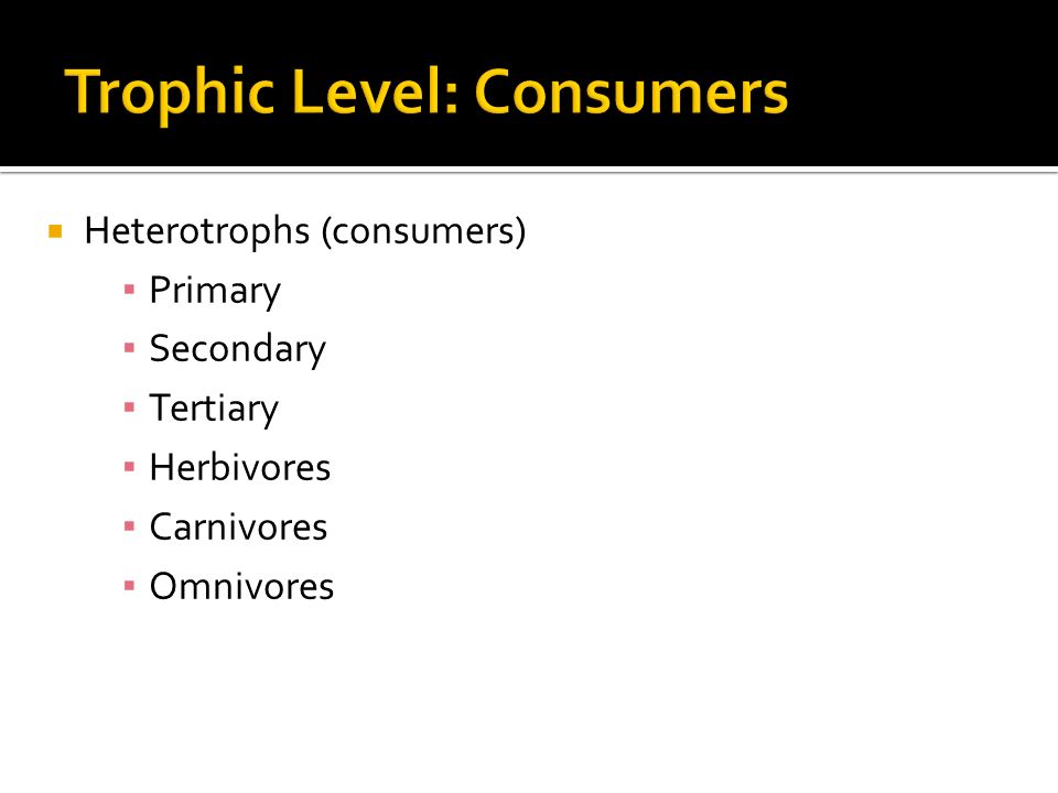  Heterotrophs (consumers) ▪ Primary ▪ Secondary ▪ Tertiary ▪ Herbivores ▪ Carnivores ▪ Omnivores