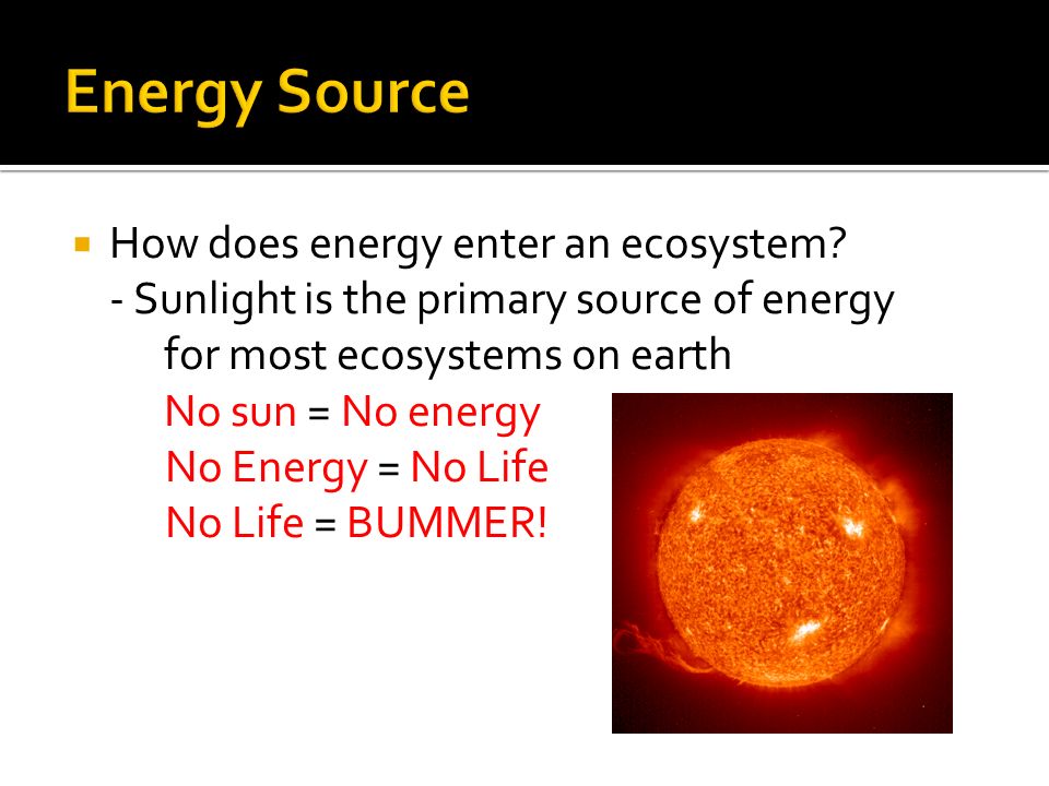  How does energy enter an ecosystem.