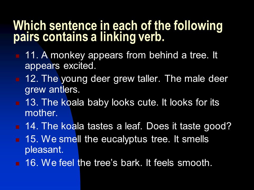 Which sentence in each of the following pairs contains a linking verb.