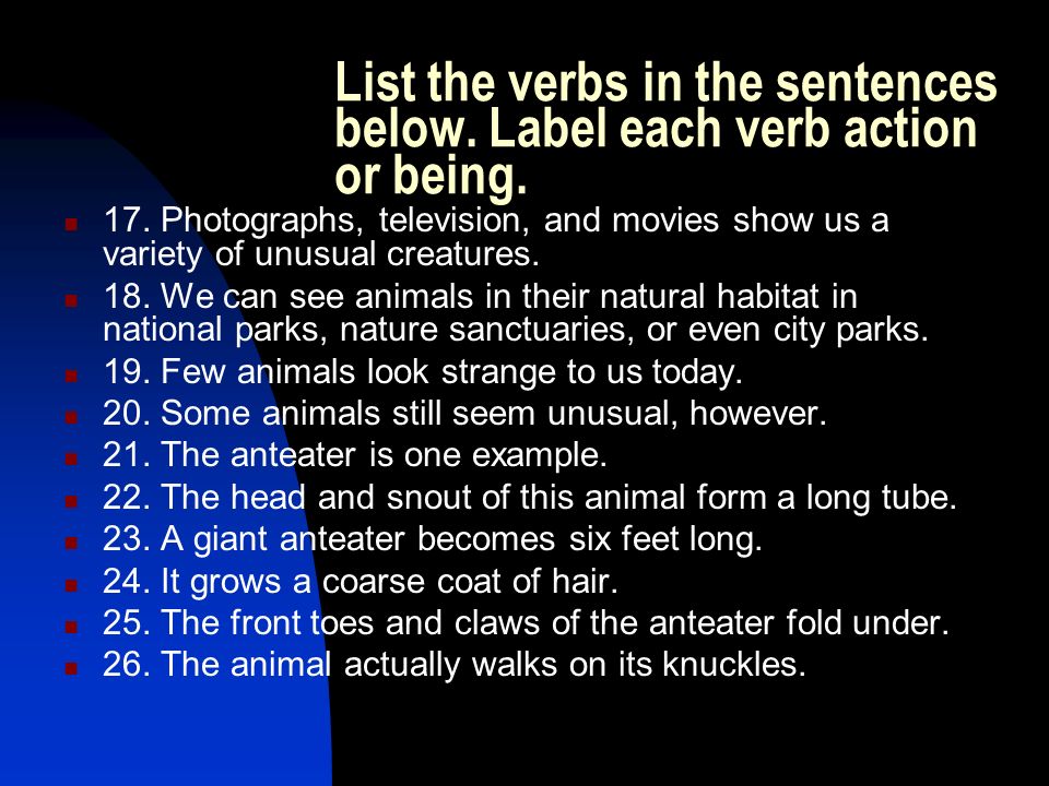 List the verbs in the sentences below. Label each verb action or being.