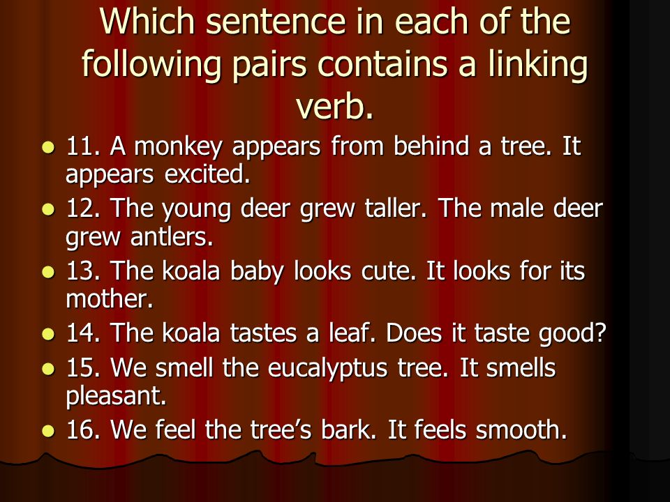 Which sentence in each of the following pairs contains a linking verb.