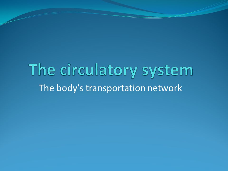 The body’s transportation network