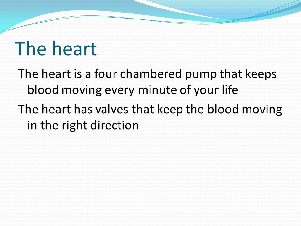 The heart The heart is a four chambered pump that keeps blood moving every minute of your life The heart has valves that keep the blood moving in the right direction