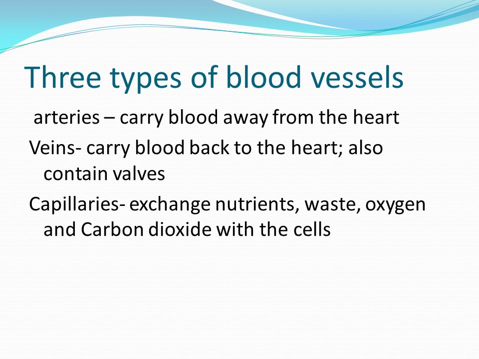 Three types of blood vessels arteries – carry blood away from the heart Veins- carry blood back to the heart; also contain valves Capillaries- exchange nutrients, waste, oxygen and Carbon dioxide with the cells