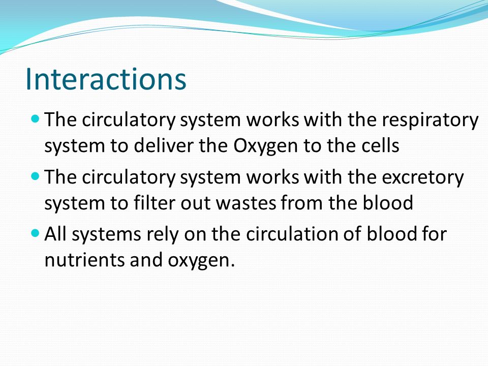 Interactions The circulatory system works with the respiratory system to deliver the Oxygen to the cells The circulatory system works with the excretory system to filter out wastes from the blood All systems rely on the circulation of blood for nutrients and oxygen.