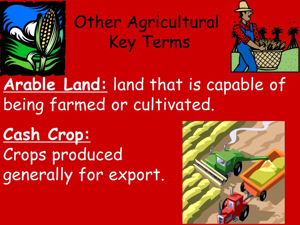 Arable Land: land that is capable of being farmed or cultivated.