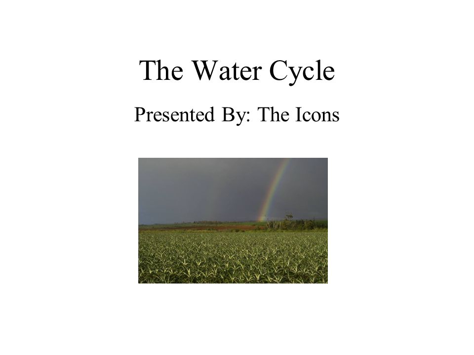 The Water Cycle Presented By: The Icons