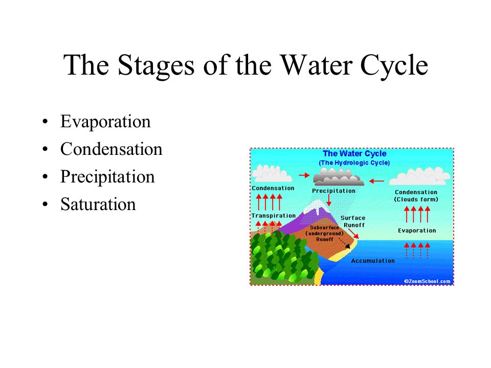 The Stages of the Water Cycle Evaporation Condensation Precipitation Saturation