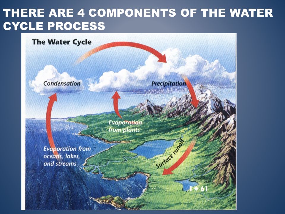 THERE ARE 4 COMPONENTS OF THE WATER CYCLE PROCESS