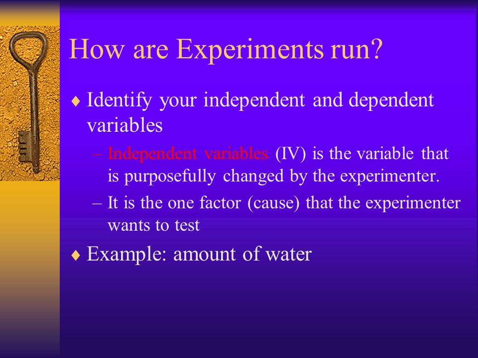 How are Experiments run.