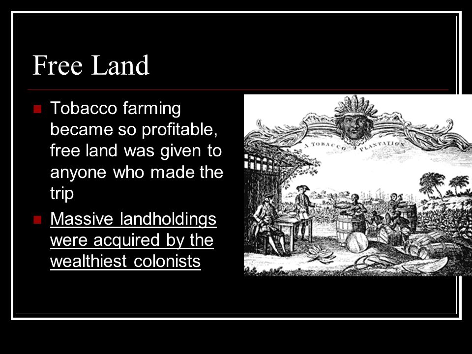 Free Land Tobacco farming became so profitable, free land was given to anyone who made the trip Massive landholdings were acquired by the wealthiest colonists