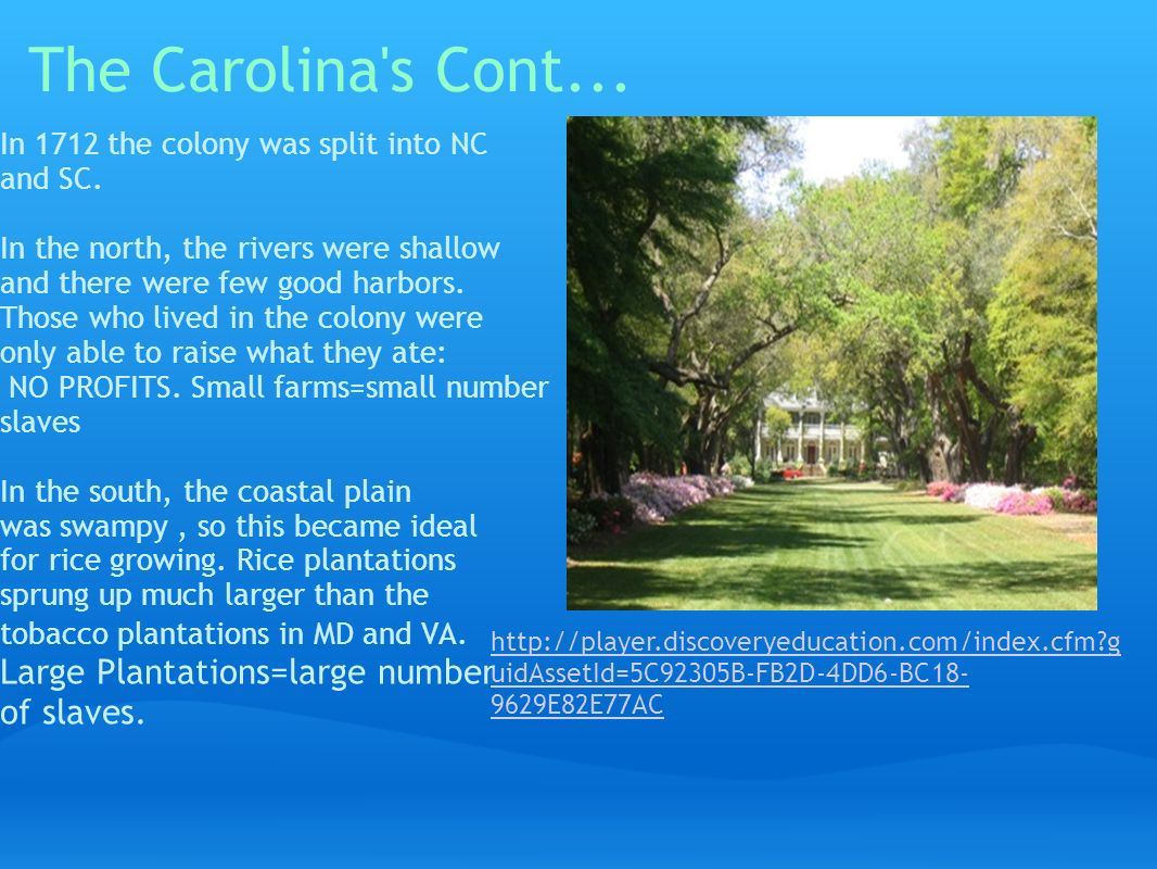 The Carolina s Cont... In 1712 the colony was split into NC and SC.