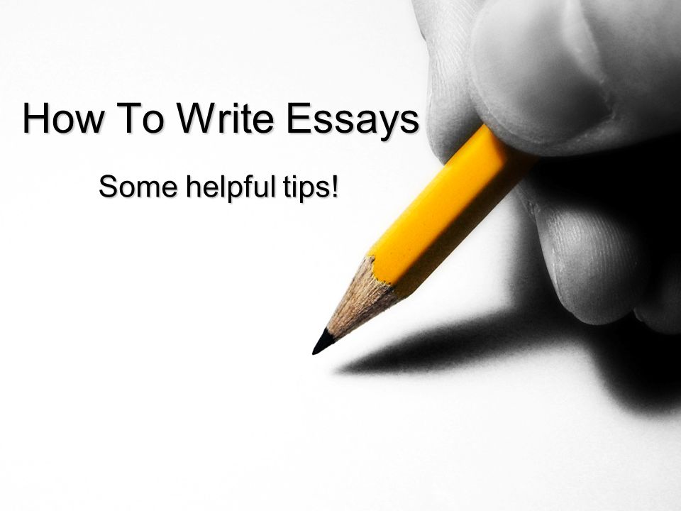 writing essays for dummies