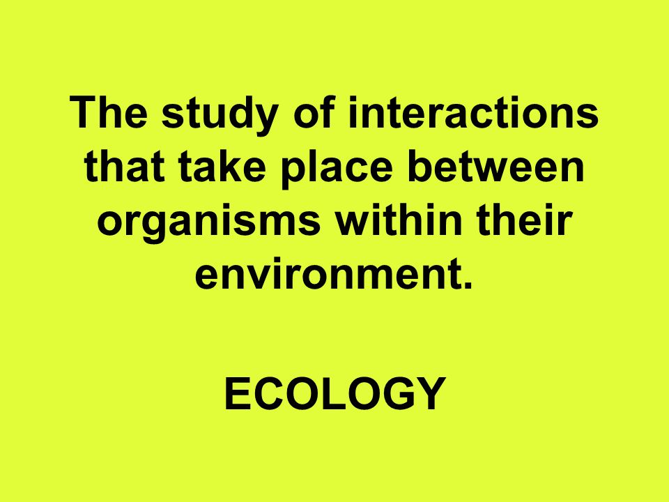 The study of interactions that take place between organisms within their environment. ECOLOGY