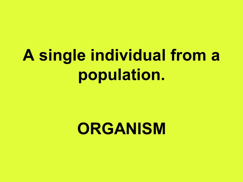 A single individual from a population. ORGANISM