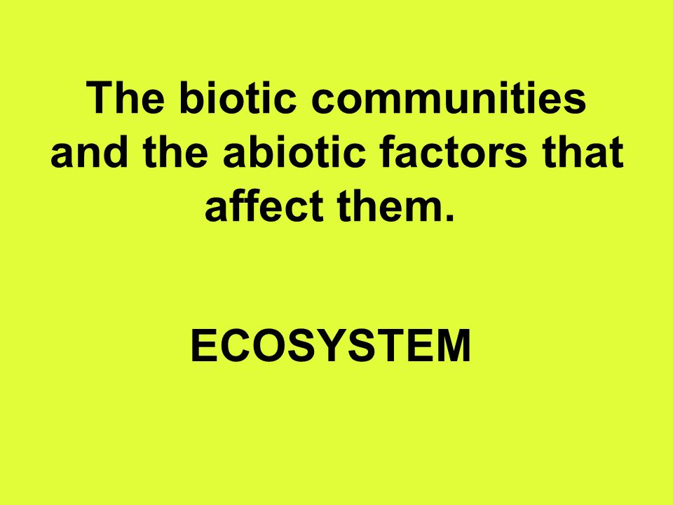 The biotic communities and the abiotic factors that affect them.. ECOSYSTEM