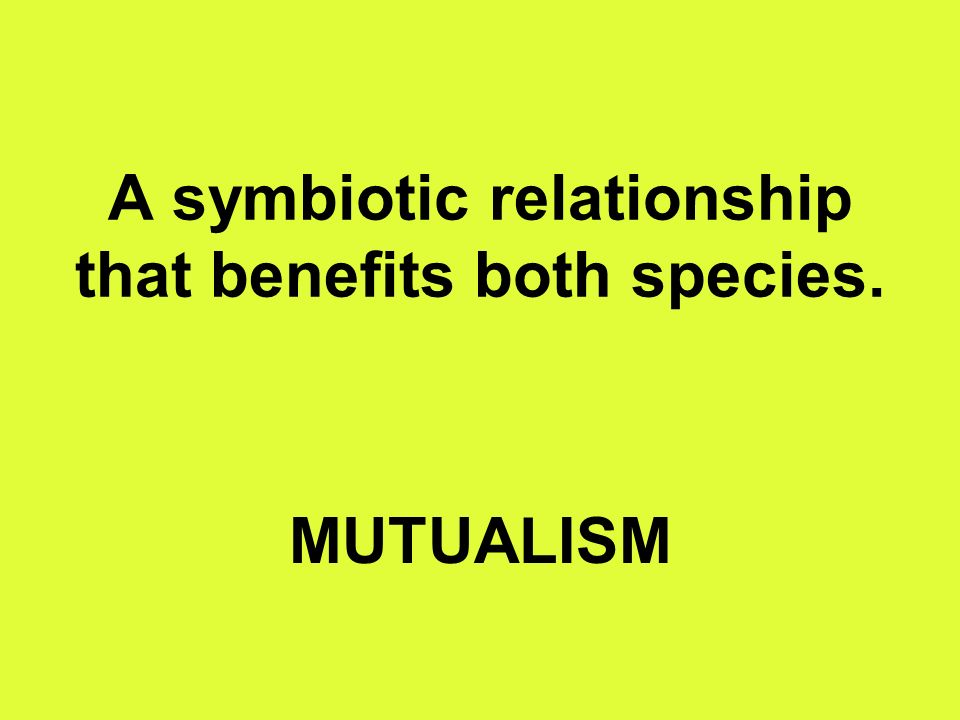 A symbiotic relationship that benefits both species. MUTUALISM