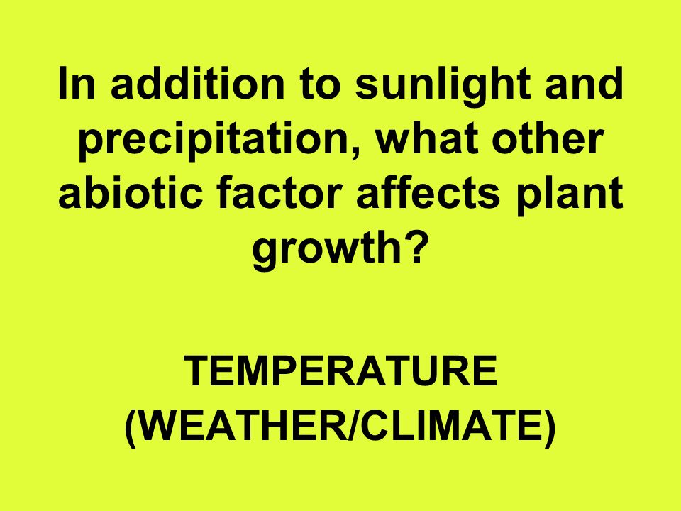 In addition to sunlight and precipitation, what other abiotic factor affects plant growth.