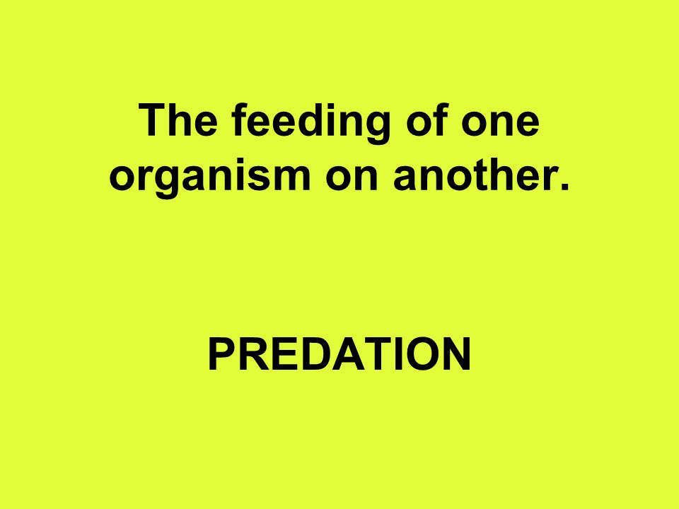 The feeding of one organism on another. PREDATION