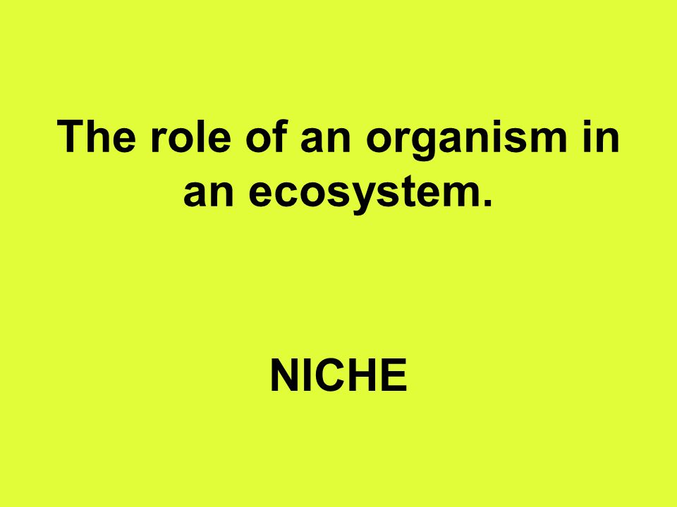 The role of an organism in an ecosystem. NICHE