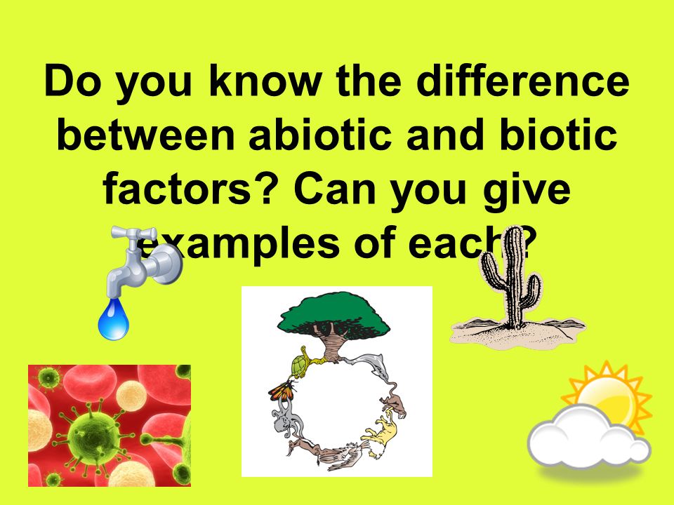 Do you know the difference between abiotic and biotic factors Can you give examples of each
