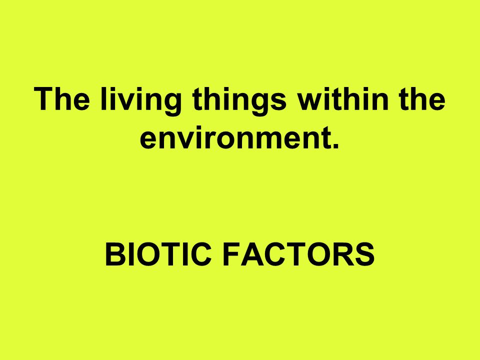 The living things within the environment. BIOTIC FACTORS
