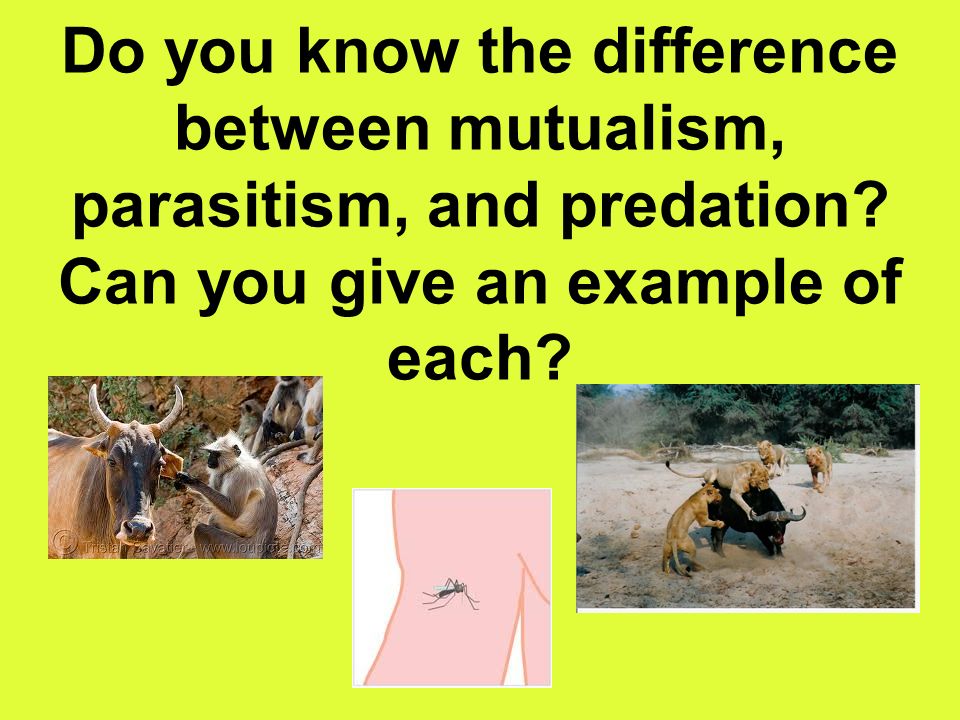 Do you know the difference between mutualism, parasitism, and predation.