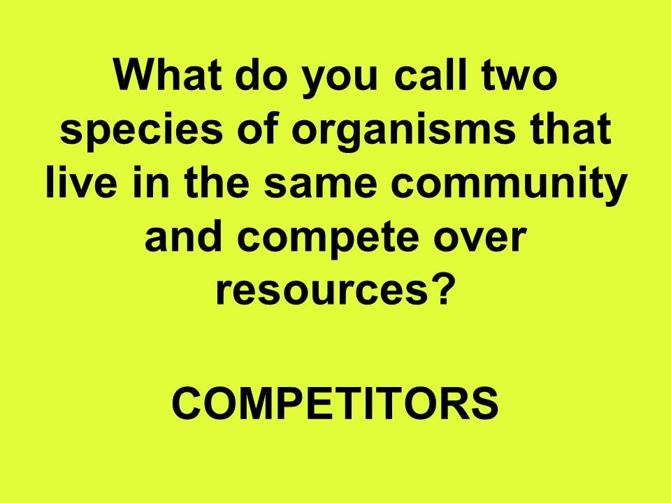 What do you call two species of organisms that live in the same community and compete over resources.