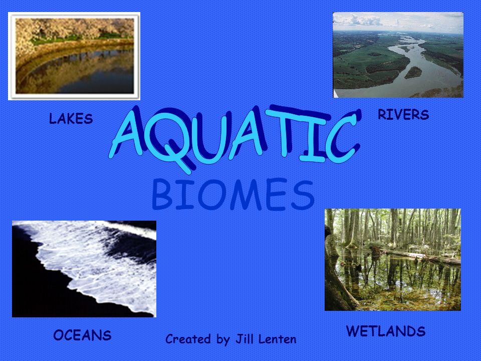 BIOMES LAKES RIVERS OCEANS WETLANDS Created by Jill Lenten