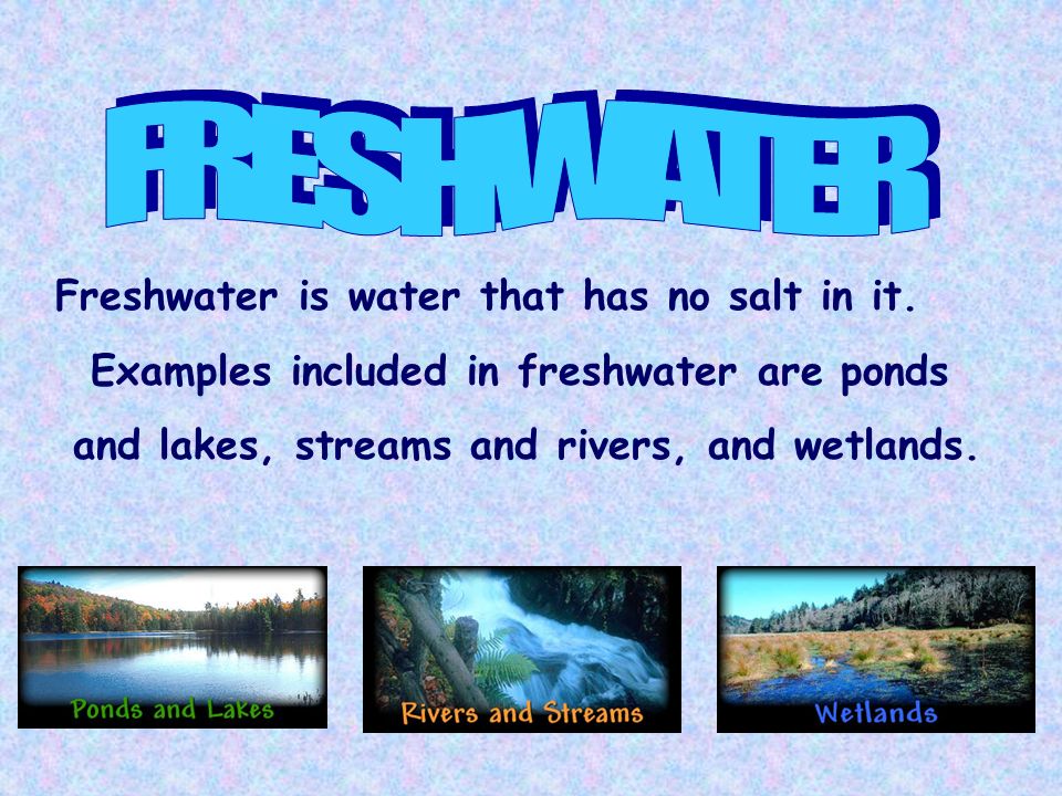 Freshwater is water that has no salt in it.