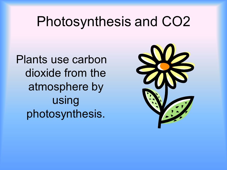 Photosynthesis and CO2 Plants use carbon dioxide from the atmosphere by using photosynthesis.