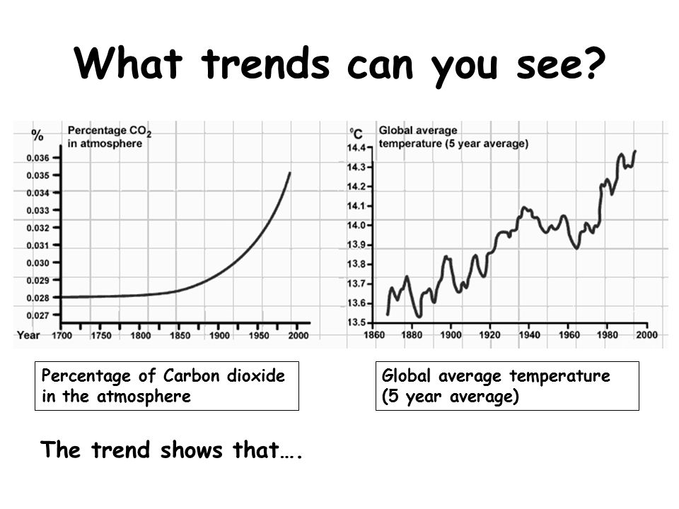 What trends can you see.