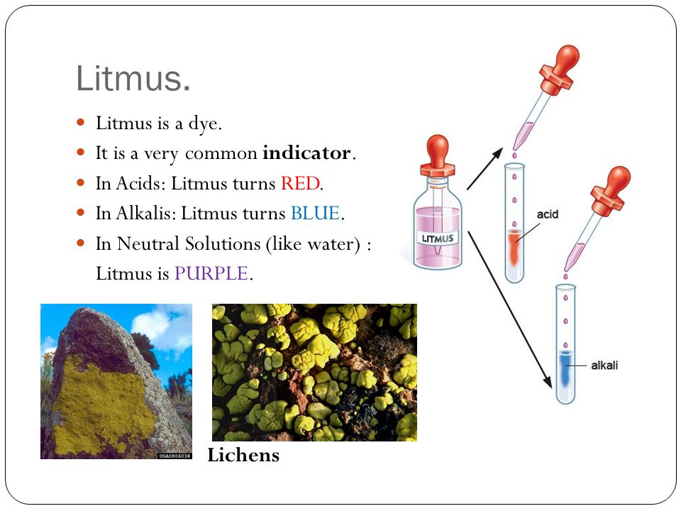 Litmus. Litmus is a dye. It is a very common indicator.