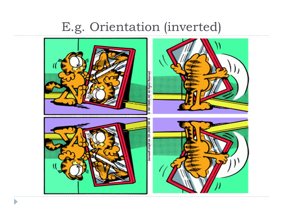 E.g. Orientation (inverted)