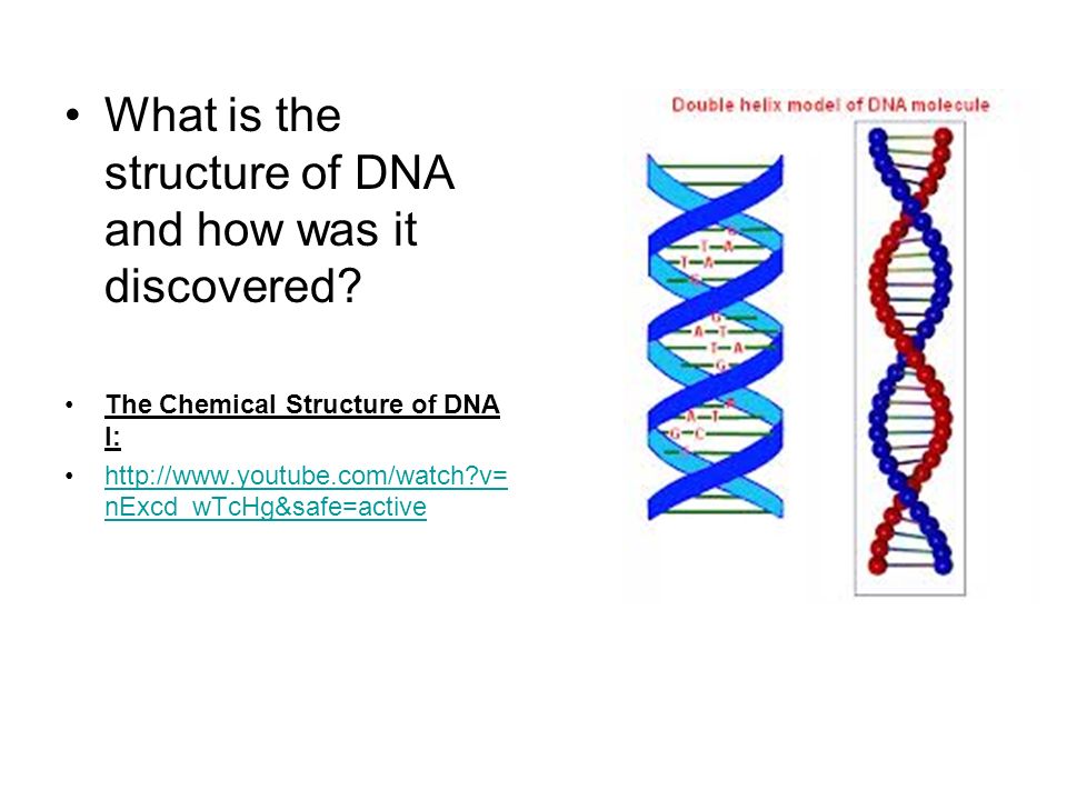 the role and structure of dna Nucleic acid structure refers to the structure of nucleic acids such as dna and rnachemically speaking, dna and rna are very similar nucleic acid structure is often divided into four different levels: primary, secondary, tertiary and quaternary. the role and structure of dna Nucleic acid structure refers to the structure of nucleic acids such as dna and rnachemically speaking, dna and rna are very similar nucleic acid structure is often divided into four different levels: primary, secondary, tertiary and quaternary.